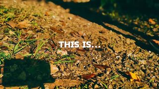 Cinematic cinematography vibes video