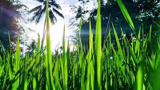 Cinematic cinematography vibes daily 2