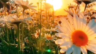 Природа 54