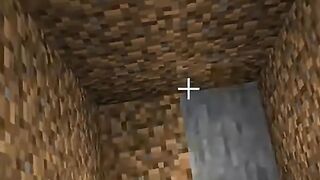 Trap 1 Minecraft