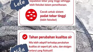 Endurance of Catfish vs Tilapia