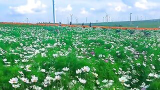 very beautiful natural scenery