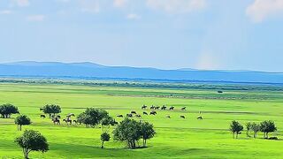 very beautiful natural scenery 2