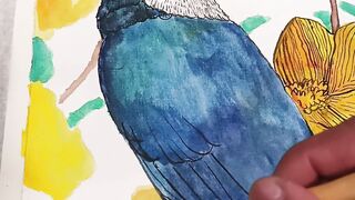 Watercolor Painting Process Bird Tropical