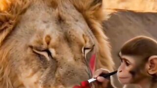 Lion Wakes Up with a Funny Makeover from a Baby Monkey 😂🦁🐒