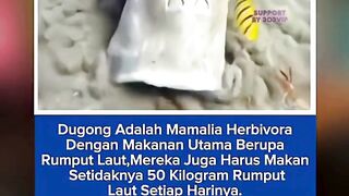 303NEWS 79