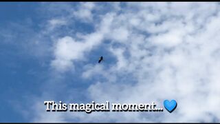 This magical moment...
