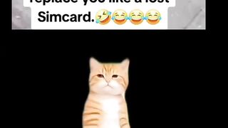 ,🤣🤣🤣🤣