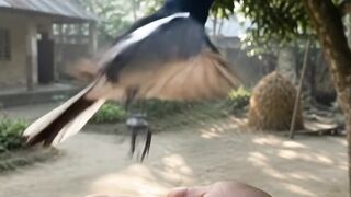 A beautiful moment with our national bird. ❤️🦜