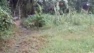 Village seen 5