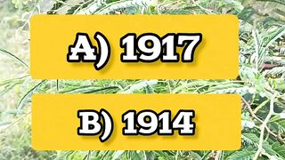 World War 1 Quiz | In Which Year Did the United States Join WW1?