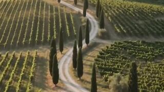 🌿 Building a Dream Vineyard Cottage in the Italian Countryside! 🍇✨ | Asraf Vai 1 #shorts