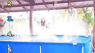 top 5 water park moments