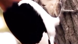 Wait for the end 🤣😎