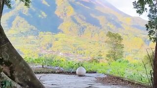 #merapi #merapimountain #seloboyolali #bukitcilenguk #viral