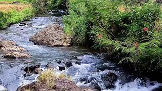 Home of Fresh Air  Where time slows down and the mind clears up. The splash of water, lush greenery, and a sense of calm that never fades. 🌿💦