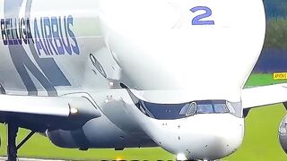 The World s Rarest Airplane - Airbus Beluga