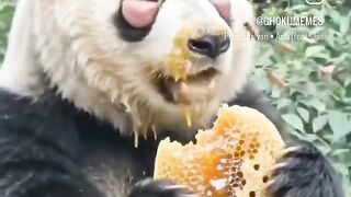 wait for it..... 3