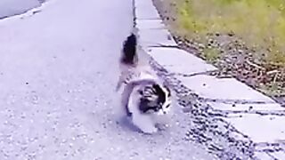 Jalan jalan 21