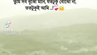 ভিডিও 13