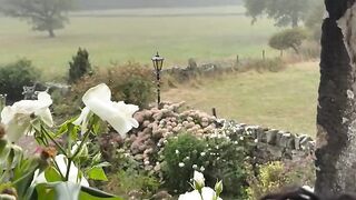 The Little End Cottage