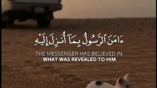 Tilawat e Quran Majeed must watch 4