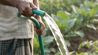 Farmer watering the vegetable field 🌱💦 | Farmer's hard work | Beautiful scene of rural Bengal
