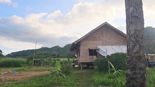 How much it COST to Build a Small Poultry Farm in the Philippines Part 1