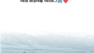 ভিডিও 18