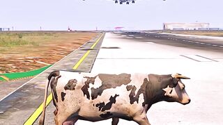 It's Crazy That A Cow Was There When A Plane Landed  Grand Theft Auto