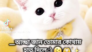 ভিডিও 30
