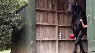 Colby’s Crew Rescue
