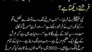 مرغ کی بانگ