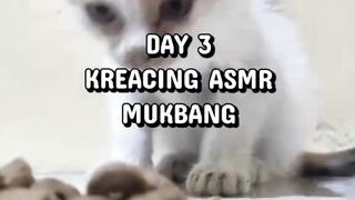 mukbang ayooo