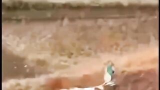 Video funny 48