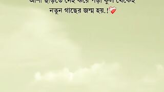 ক্যাপশন 11