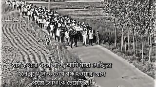 ভিডিও 50