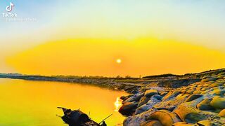 ভিডিও 61