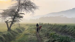 Natural cinematic video shorts