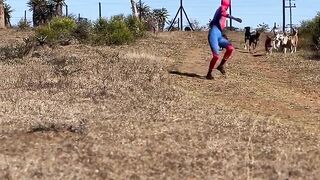 SPIDERMAN 4