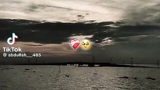 ভিডিও 76