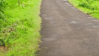 Bicycle 6