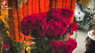 ক্যাপশন 20
