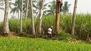 Qlat Panjat pohon Kelapa