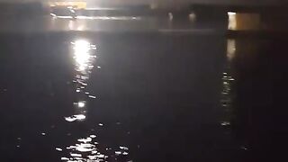 Panen ikan patin malam hari
