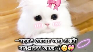 ভিডিও 103