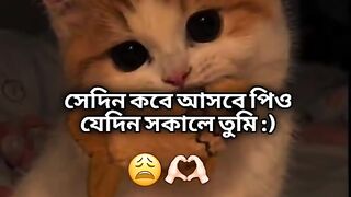 ভিডিও 104