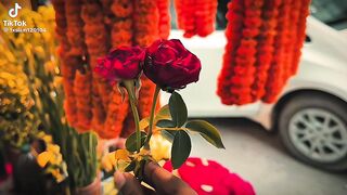 ভিডিও 105