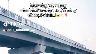 ভিডিও 113