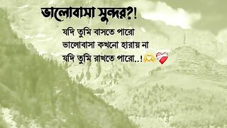 ক্যাপশন 33